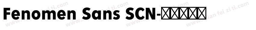 Fenomen Sans SCN字体转换